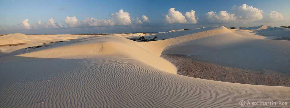 Socotra.