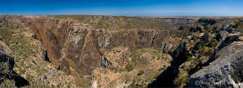 Socotra.