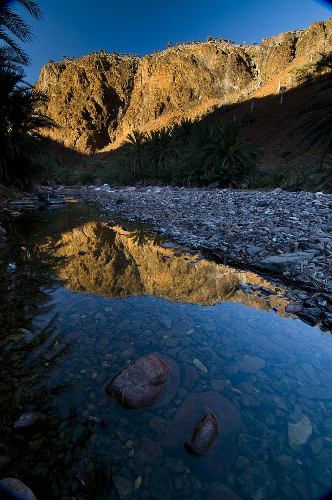 Socotra.