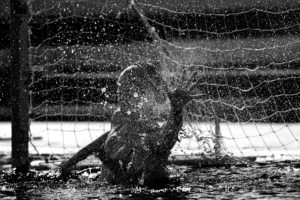 Maria Elena CNS Waterpolo femenino Club Natació Sabadell Olimpics Olimpiadas