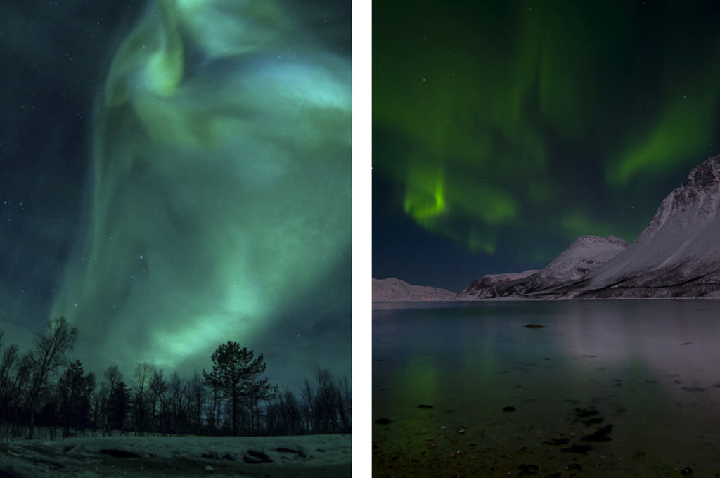 Aurora boreal northern lights alex martin ros